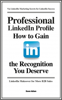 Cover of Professional Linkedin Profile: How to Gain the Recognition You Deserve